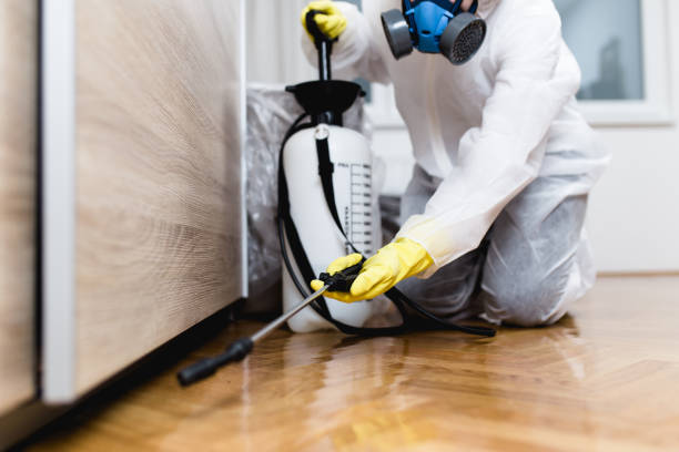 Best Termite Control Services  in Fair Lakes, VA