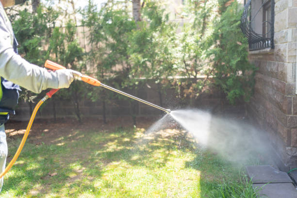 Best Affordable Pest Control Services  in Fair Lakes, VA