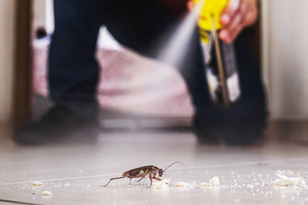 Pest Control for Restaurants in Fair Lakes, VA